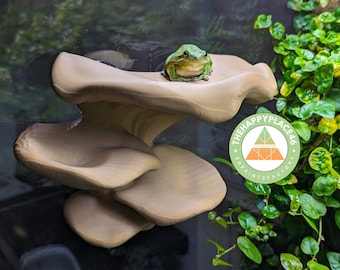 Frog and Gecko Multiplatform Ledge Realistic Mushroom