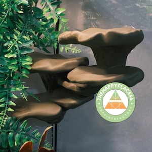 Gecko Corner Mushroom Ledge Two-Piece Perch Set