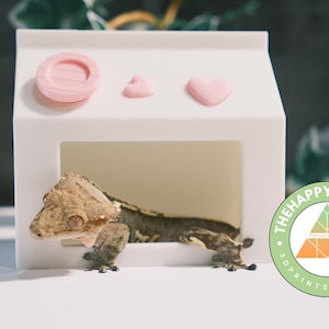 Crested Gecko and Frog Milk Carton Hide