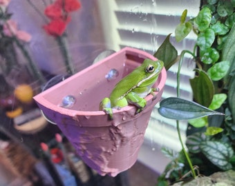 Frog and reptile hanging pot terrarium decor