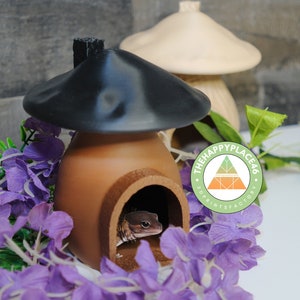 Crested Gecko and Frog Hide Smooth Mushroom House