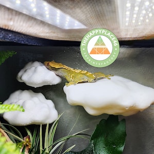 May include: A green gecko lizard perched on a white 3D printed cloud-shaped perch. The perch is part of a terrarium setup. The logo "The Happy Place 46 3D Prints Factory" is visible in the background.