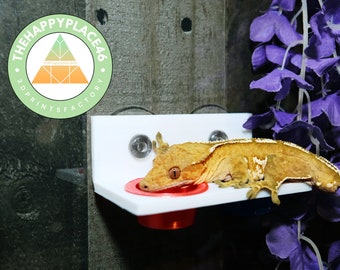 May include: A white plastic reptile feeding dish with a red bowl attached to a wall with suction cups. A light brown crested gecko is perched on the edge of the dish, with its head in the bowl. The background is a wooden wall with purple artificial flowers.