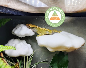 May include: A green gecko lizard perched on a white 3D printed cloud-shaped perch. The perch is part of a terrarium setup. The logo "The Happy Place 46 3D Prints Factory" is visible in the background.