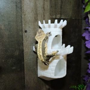 Crested Gecko and Frog Hanging Castle Hide Two Levels