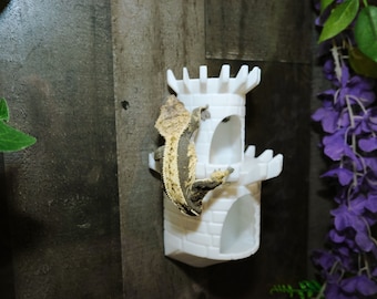 Crested Gecko and Frog Hanging Castle Hide Two Levels