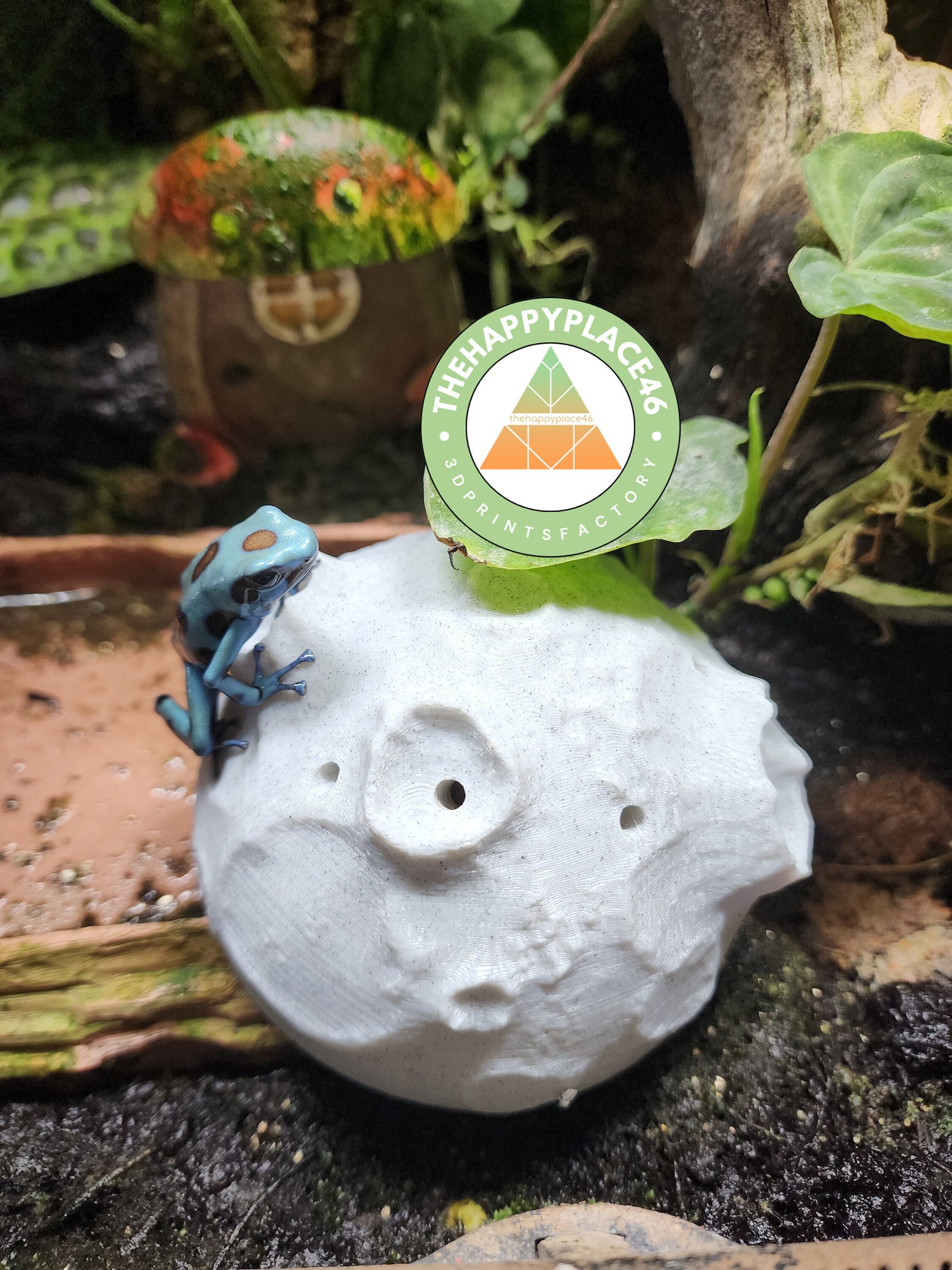 Dart Frog Slow Release Fly Feeder Moon Rock for Hydeii and