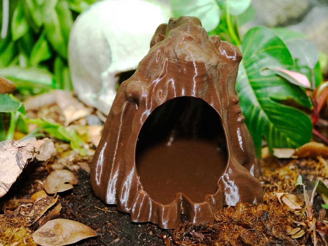 Tree Stump Gecko and Reptile Hide Etsy