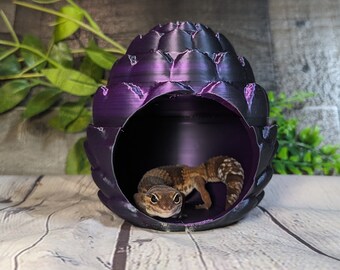 Crested Gecko and Frog Hide Dragon Egg