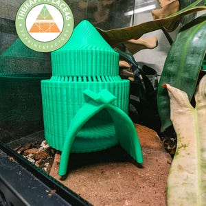 Crested Gecko and Frog Bamboo Palace Hide