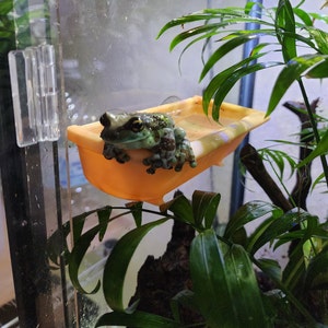 Frog and reptile hanging bathtub terrarium decor