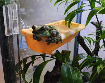 Frog and reptile hanging bathtub terrarium decor