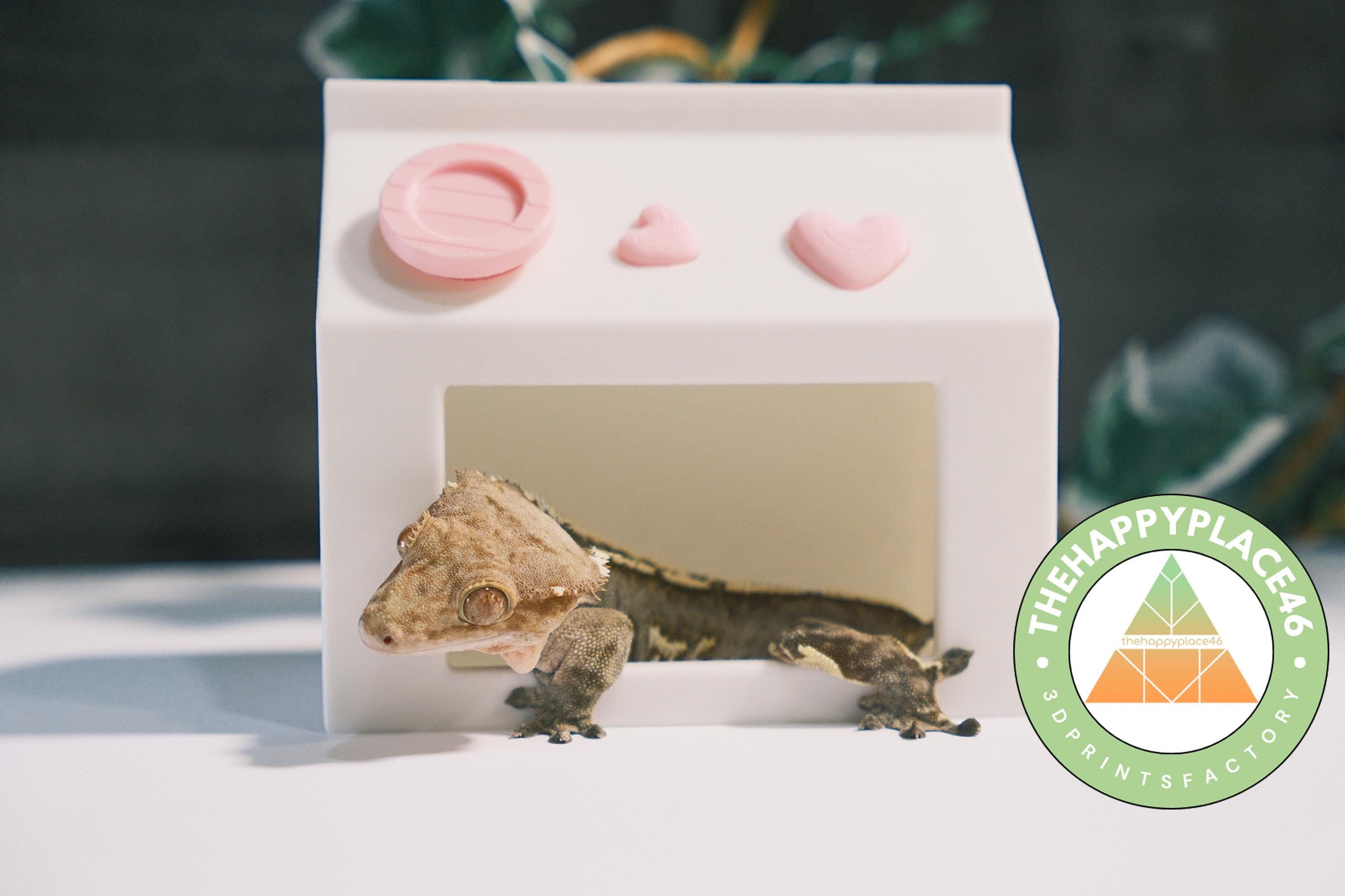 Crested Gecko and Frog Milk Carton Hide