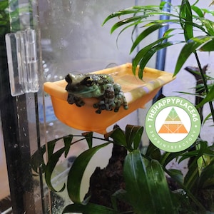Frog and reptile hanging bathtub terrarium decor
