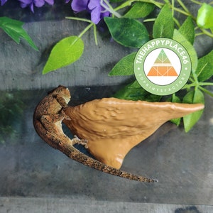 Frog and Gecko Hanging Mushroom Textured Platform