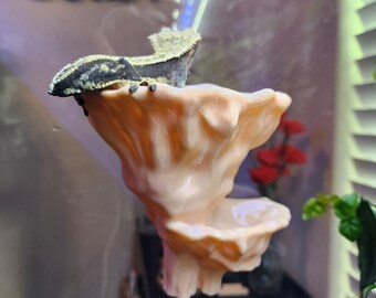 Gecko and frog hanging mushroom two tiered ledge