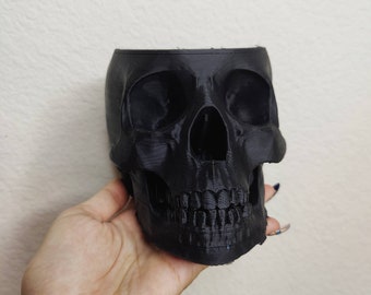 Skull Planter for Indoor Plants