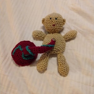 Crocheted baby with placenta and uterus