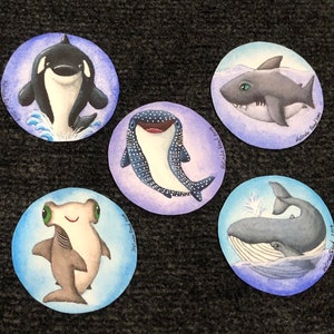 Könnte beinhalten: Fünf Aquarellbilder von verschiedenen Meerestieren auf grauem Hintergrund. Die Bilder sind rund und zeigen einen Wal, einen Hammerhai, einen Walhai, einen Weißen Hai und eine Orca. Jedes Bild hat einen blauen, violetten und weißen Hintergrund.