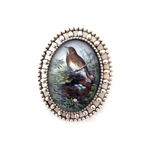 Thrush on nest, Bird Art, Vintage Art, Nature Jewelry, Glass Cabochon, Handmade, Elegant, Gift for Birder, John Gould