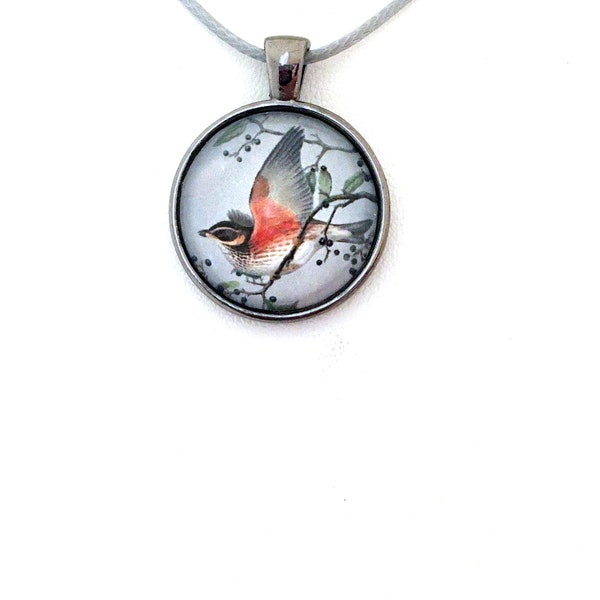 Redwing Pendant, Bird Art, Vintage Art, Unique Necklace, Nature Jewelry, Glass Cabochon, Handmade, Gift for Birder, Colorful