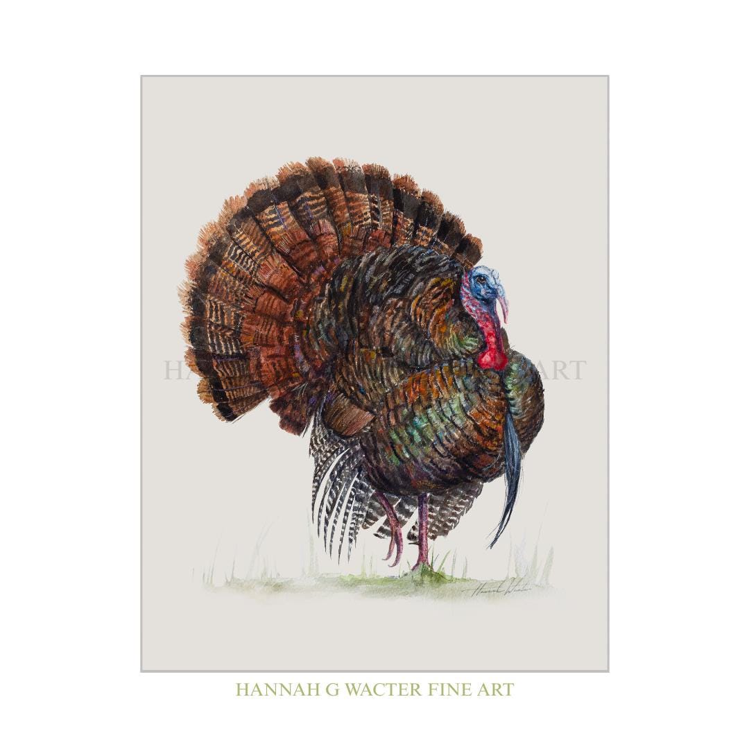 Eastern Wild Turkey Watercolor Painting Art Print | Southern Decor - Etsy