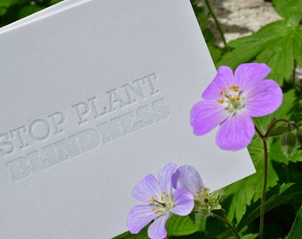 Ecology Notecards  |  Letterpress printed, Stop Plant Blindness
