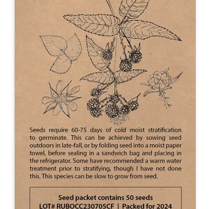 Rubus Occidentalis, Black Raspberry, Black Caps | Native Plant Seeds - Etsy