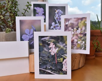 Blank Card - Native Plant Photographs (Spring Ephemerals)