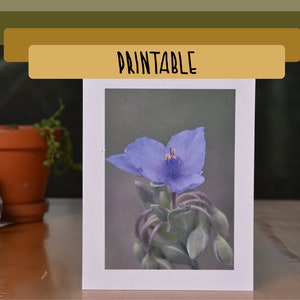 IMPRIMÍVEL - Cartão de felicitações em branco com foto Spiderwort