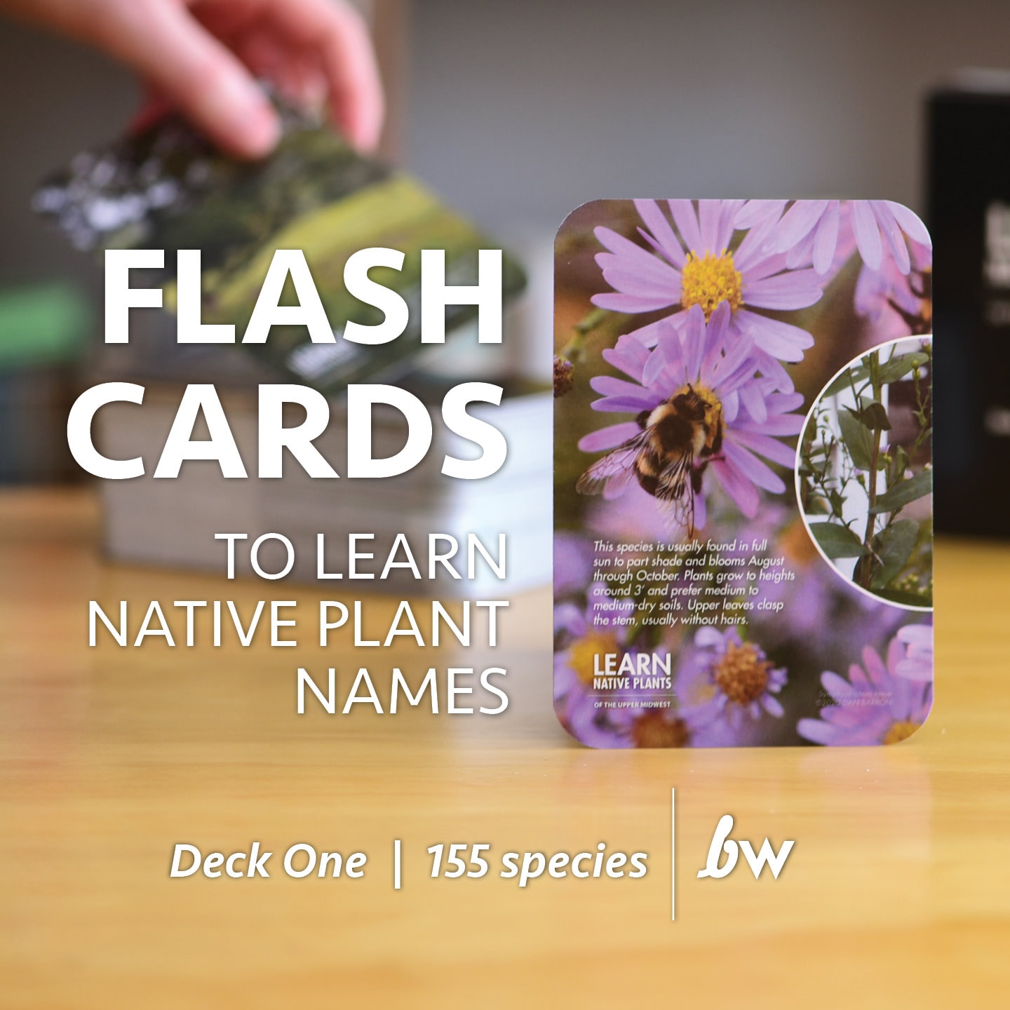 Flash Cards to Learn Native Plant Names, Learn Native Plants of