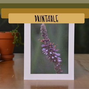 IMPRIMABLE - Carte de voeux vierge photo avec plante en plomb