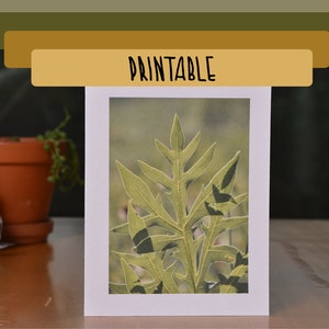 IMPRIMABLE - Carte de voeux vierge boussole photo plante