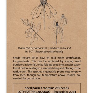 May include: A brown paper seed packet for Ratibida pinnata, also known as Gray-Headed Coneflower. The packet contains 250 seeds and is labeled "LOT# RATPIN2209060G | Packed for 2024". The packet is from BeeWise of Steuben, Wisconsin 54657.