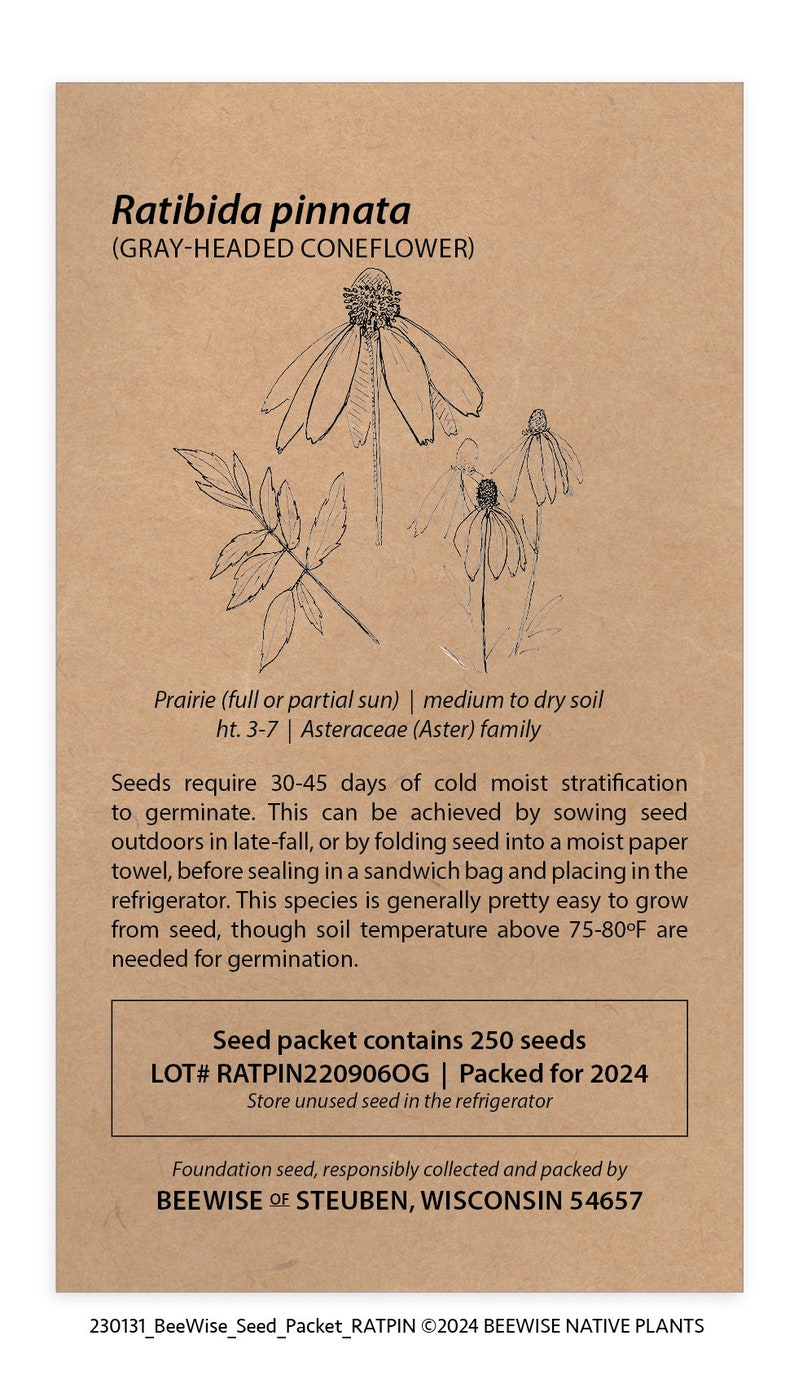 May include: A brown paper seed packet for Ratibida pinnata, also known as Gray-Headed Coneflower. The packet contains 250 seeds and is labeled "LOT# RATPIN2209060G | Packed for 2024". The packet is from BeeWise of Steuben, Wisconsin 54657.