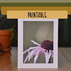 IMPRIMÍVEL - Cartão de felicitações em branco com foto roxa Coneflower