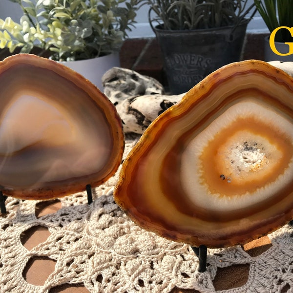 Agate Geode Slice Coaster Sized Brazil