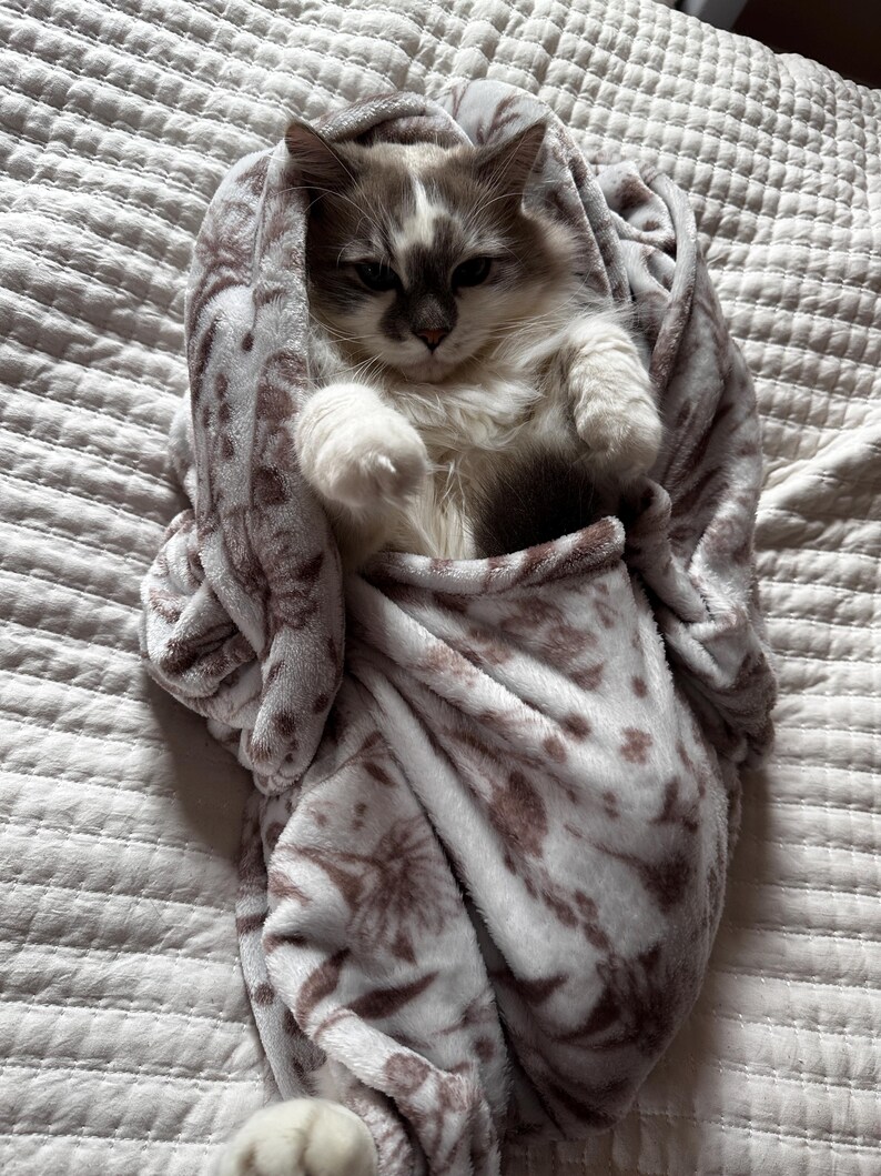 May include: A fluffy cat with gray and white fur is nestled inside a soft, patterned blanket. The blanket has a white background with brown floral designs. The cat is lying on a white bedspread, creating a cozy and comfortable scene.