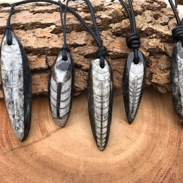 Beautiful Orthoceras Fossil Necklace/ You Choose which one/ Black and white fossil