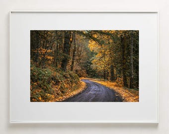 Fine Art Photography Print - Empty road winds through autumn forest rustic decor for mountain home gift