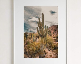Fine Art Photography Print - Saguaro cactus in desert landscape southwestern decor gift idea
