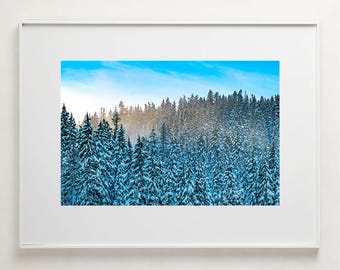 Fine Art Photography Print - Winter sunset snowy trees near Mt Hood, Oregon print