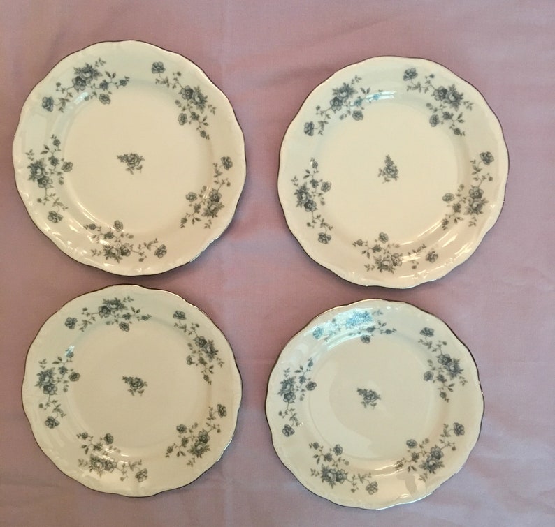 Vintage Johann Haviland Bavarian Plates Vintage Plates image 2