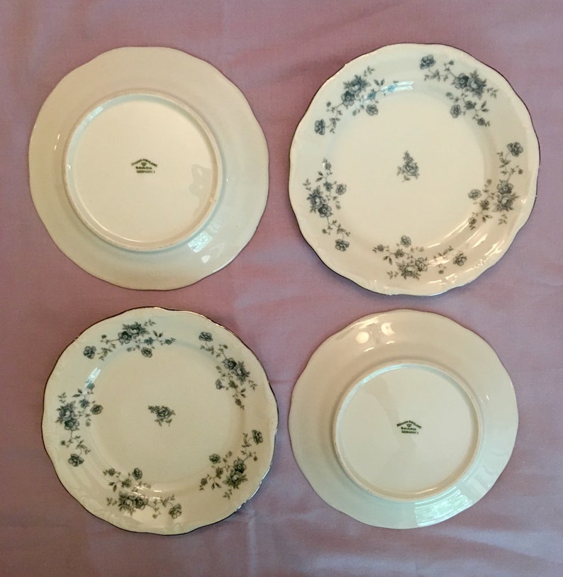 Vintage Johann Haviland Bavarian Plates Vintage Plates image 1