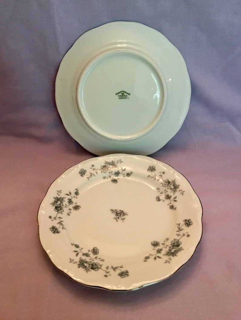 Vintage Johann Haviland Bavarian Plates Vintage Plates image 3