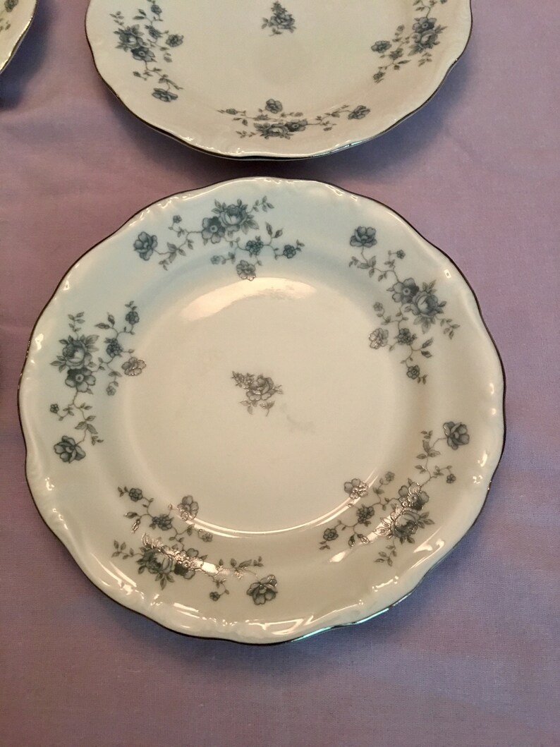Vintage Johann Haviland Bavarian Plates Vintage Plates image 0