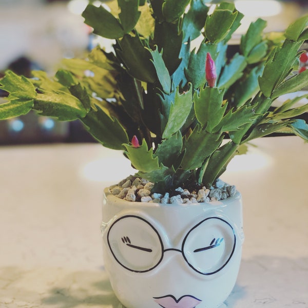 Planter Face w/ Glasses