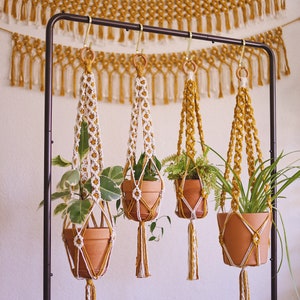 Four macrame plant hangers (two white and two mustard) with clay pots and houseplants are hanging from a wire rack. In the background, 3 mustard macrame wall hangings are against a white wall.