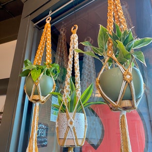 Three mustard and white macrame plant hangers with wooden rings hang in a cafe window
