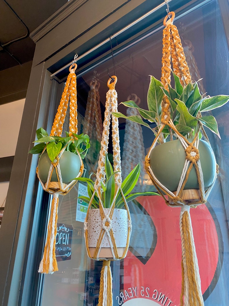 Three mustard and white macrame plant hangers with wooden rings hang in a cafe window